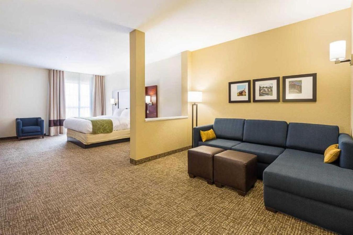 Comfort Suites Greenville South Piedmont Екстер'єр фото