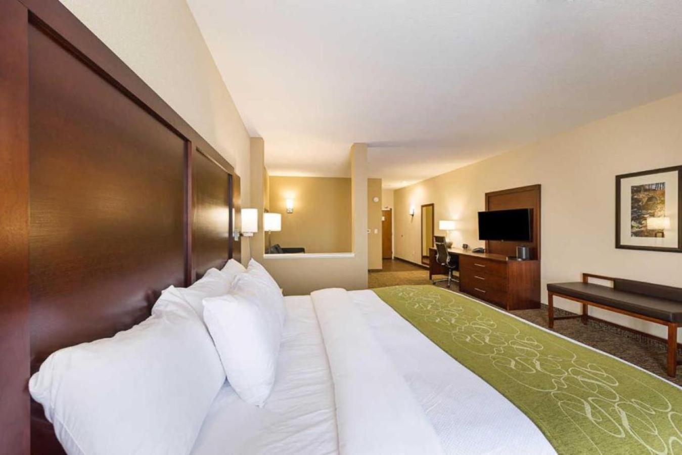 Comfort Suites Greenville South Piedmont Екстер'єр фото